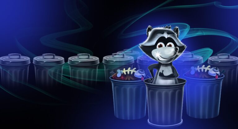 Raccoon : avis et démo du jeu casino