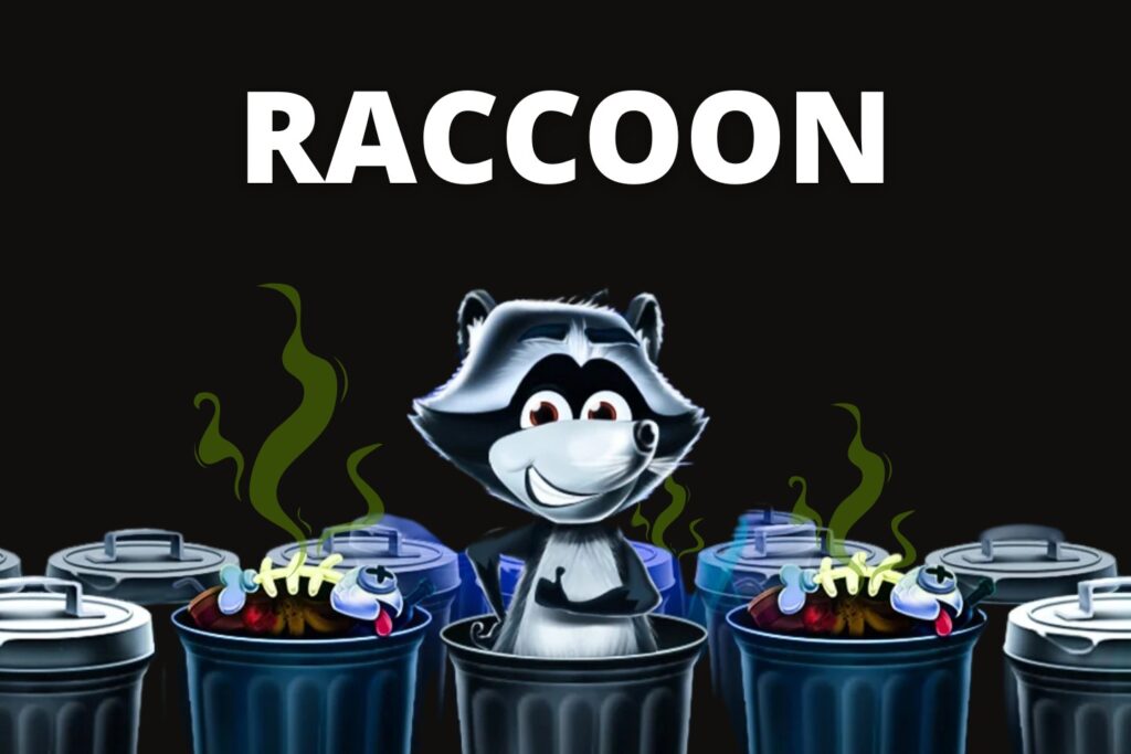 Raccoon jeu d'argent : bonus et code promo à l'inscription, arnaque ou jeu gratuit fiable ?